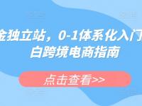 掘金独立站，0-1体系化入门，小白跨境电商指南【45670666】