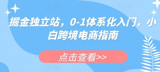 掘金独立站，0-1体系化入门，小白跨境电商指南【45670666】