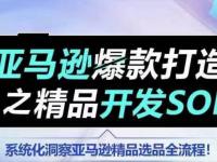 【训练营】亚马逊爆款打造之精品开发SOP，系统化洞察亚马逊精品选品全流程【45670753】