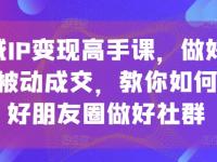 私域IP变现高手课，做好私域，被动成交，教你如何打造好朋友圈做好社群【45670752】