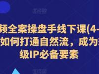 短视频全案操盘手线下课(4-5月)教你如何打通自然流，成为想象级IP必备要素【45670747】