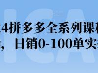 2024拼多多全系列课程实操，日销0-100单实操【45670741】