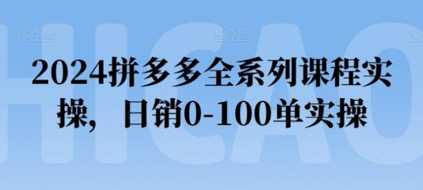 2024拼多多全系列课程实操，日销0-100单实操【45670741】