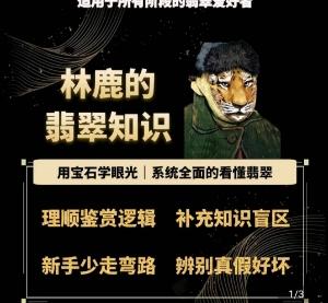 林鹿的翡翠知识，​用宝石眼光，系统全面的看懂翡翠【45670731】