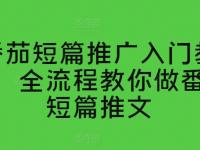 番茄短篇推广入门教学，全流程教你做番茄短篇推文【45670726】