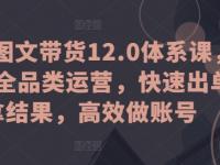 抖音图文带货12.0体系课，主打全品类运营，快速出单拿结果，高效做账号【45670710】