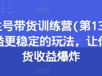 养生号带货训练营(第13期)收益更稳定的玩法，让你带货收益爆炸【45670709】