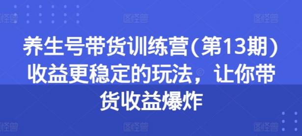 养生号带货训练营(第13期)收益更稳定的玩法，让你带货收益爆炸【45670709】