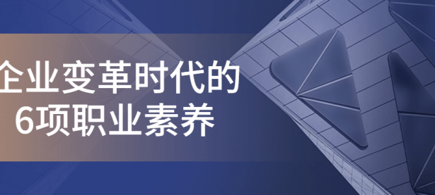 企业变革时代的6项职业素养【45670511】