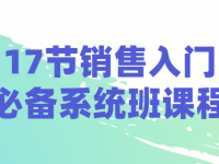 17节销售入门必备系统班课程【45670488】