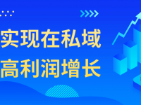 系统实现在私域中的高利润增长【45670475】