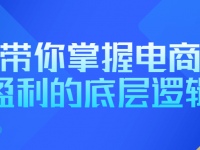 带你掌握电商盈利的底层逻辑【45670405】