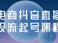 电商抖音直播投流起号课程【45670110】