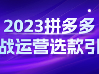 2023拼多多实战运营选款引爆【45670079】