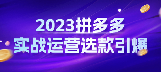 2023拼多多实战运营选款引爆【45670079】