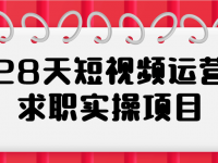 28天短视频运营求职实操项目【45670058】