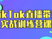 TikTok直播带货实战训练营课【45670038】
