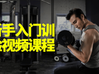 健身新手入门训练经验视频课程【45670015】