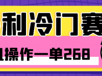 暴利冷门赛道，一单268，一个人一部手机一年100w【45670620】