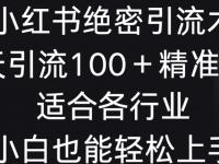 小红书绝密引流术，一天引流100+精准流量，适合各个行业，小白也能轻松上手【45670609】