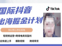 TikTok短视频跨境出海撸美金，短视频运营+跨境电商双盈利【45670606】