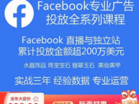 Facebook专业广告投放全系列课程，200多万美元广告投入实战实操经验【45670645】