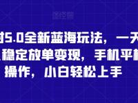 蛋仔派对5.0全新蓝海玩法，一天4000+，懒人稳定放单变现，手机平板即可操作，小白轻松上手【45670642】