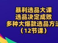 暴利选品大课：选品决定成败，教你多种大爆款选品方法(12节课)【45670691】