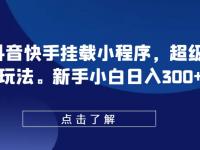 0粉抖音快手挂载小程序，超级变脸玩法，新手小白日入300+【45670681】