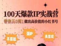 小红书100天爆款IP实战营，带你从0到1做出高价值的小红书号【45670689】